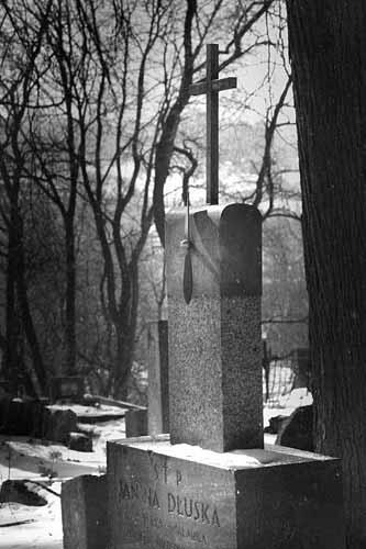 Бернардинское кладбище в Вильнюсе Евгений Лобанов Кладбище в местечке - фото 199