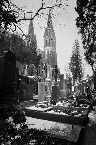 Вышеградское кладбище в Праге Чехия Элиза Антонишина Вышеградское - фото 205