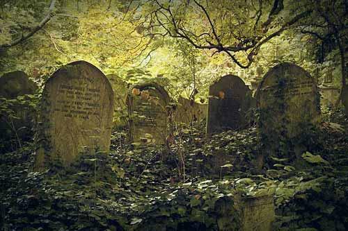 Кладбище в парке Абни в Лондоне Лина Ишмухаметова Кладбище в парке Абни - фото 225