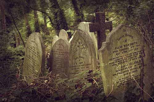 Кладбище в парке Абни в Лондоне Лина Ишмухаметова Сгоревшее кладбище - фото 226