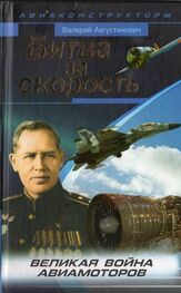Валерий Августинович: Битва за скорость. Великая война авиамоторов
