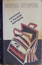 Борис Егоров: Сюрприз в рыжем портфеле (сборник)