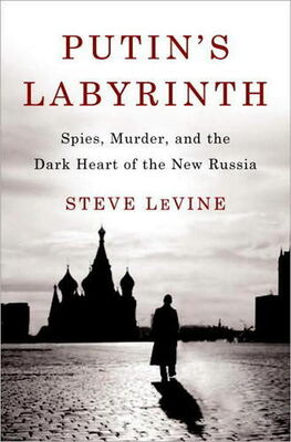 Steve LeVine Putin's Labyrinth