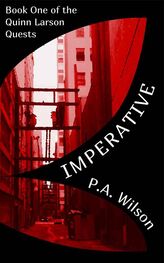 P. Wilson: Imperative