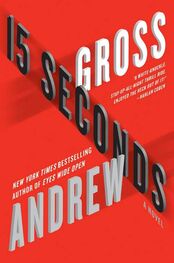 Andrew Gross: 15 Seconds