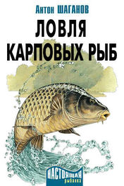 Антон Шаганов: Ловля карповых рыб