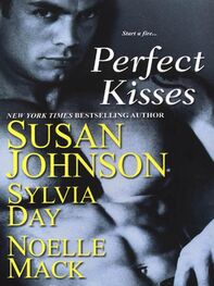 Susan Johnson: Perfect Kisses