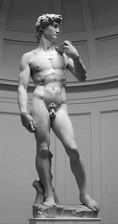 Давид статуя работы Микеланджело Буонарроти символ Флорентийской республики - фото 27