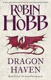 Robin Hobb: Dragon Haven