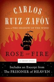 Carlos Zafón: Rose of Fire