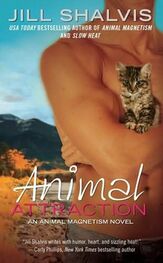 Jill Shalvis: Animal Attraction
