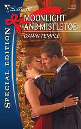 Dawn Temple: Moonlight and Mistletoe