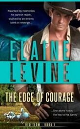 Elaine Levine: The Edge Of Courage