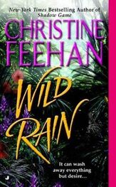Christine Feehan: Wild Rain