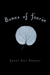 Janni Simner: Bones of Faerie