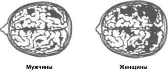 Области мозга используемые для речи и языка Институт психиатрии Лондон 2001 - фото 2