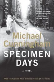 Michael Cunningham: Specimen Days