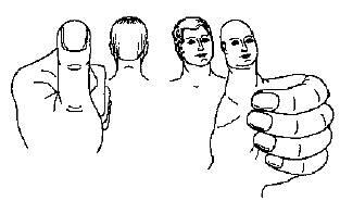 Рис 15 Подобие по форме большого пальца голове Если приглядеться - фото 14