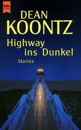 Highway ins Dunkel. Stories