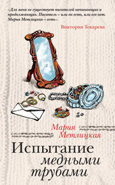 Мария Метлицкая: Испытание медными трубами (сборник)