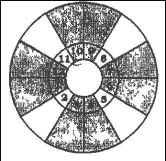 укцедентные поля имеют свойства и качества знаков Зодиака Фиксированного креста - фото 20