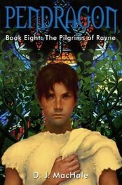 D. MacHale: The Pilgrims of Rayne