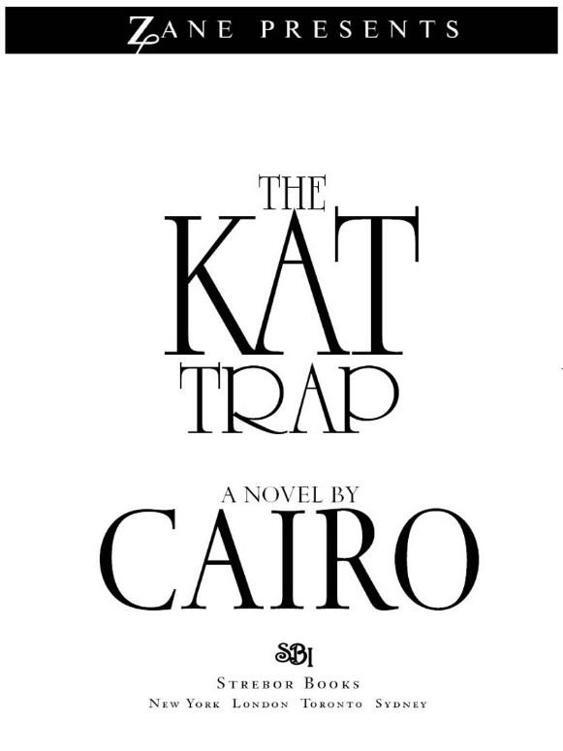 Dear Reader There is only one word to describe this book Hot Cairo has - фото 1