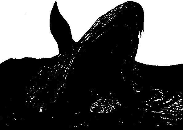 Это изображение кита когда он глотает моряка с его необыкновенным умом и - фото 2