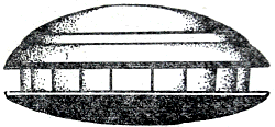Тип UF4 б Лиловый кальмароандроид Длина тела до 16 метров Обитает - фото 8