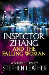 Stephen Leather: Inspector Zang and the falling woman