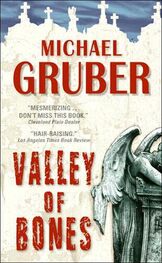 Michael Gruber: Valley of Bones