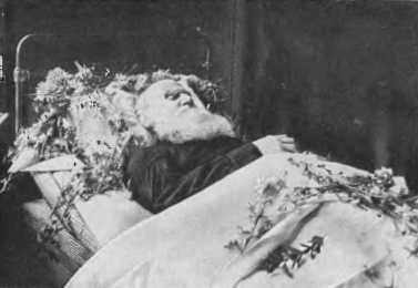 На смертном одре Астапово 1910 г Похороны Л НТолстого У могилы Л Н - фото 99