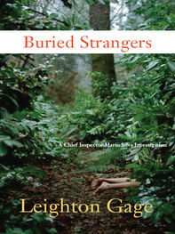 Leighton Gage: Buried Strangers