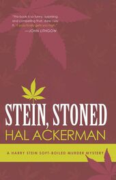 Hal Ackerman: Stein,stoned