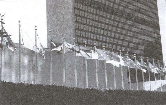 Флаги перед зданием ООН в НьюЙорке Летчик ФГ Пауэрс С Александром - фото 11