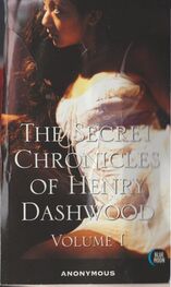Anonymous: The Secret Chronicles of Henry Dashwood, Vol. 1