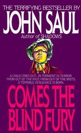 John Saul: Comes the Blind Fury