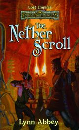Lynn Abbey: The Nether Scroll