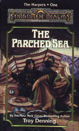Troy Denning: The Parched sea