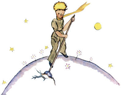 It is a question of discipline the little prince said to me later on When - фото 14