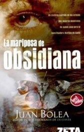 Juan Bolea: La mariposa de obsidiana