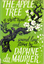 Daphne du Maurier: The Apple Tree: a short novel & several long stories