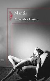 Mercedes Castro: Y punto