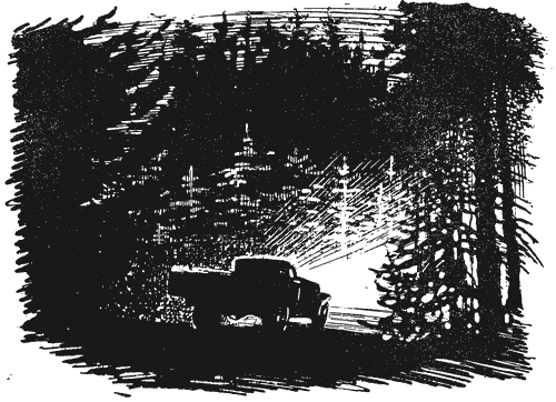 Ехали ночью в машине по зимней лесной дороге я и шофёр По бокам чёрной - фото 33