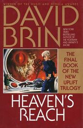 David Brin: Heaven's Reach