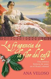 Ana Veloso: La Fragancia De La Flor Del Café