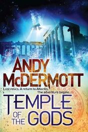Andy Mcdermott: Temple of the Gods
