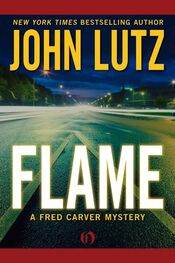 John Lutz: Flame