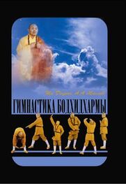 Ши Децянь: Гимнастика Бодхидхармы