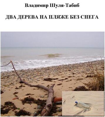 Владимир Шуля-Табиб Два дерева на пляже без снега